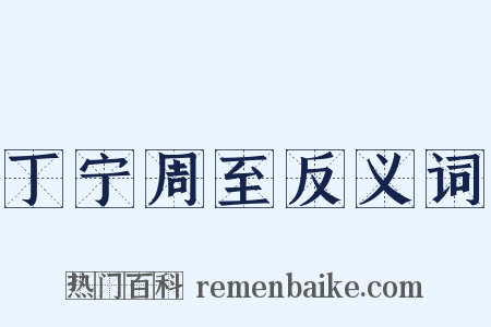 丁宁周至反义词是什么意思的图片